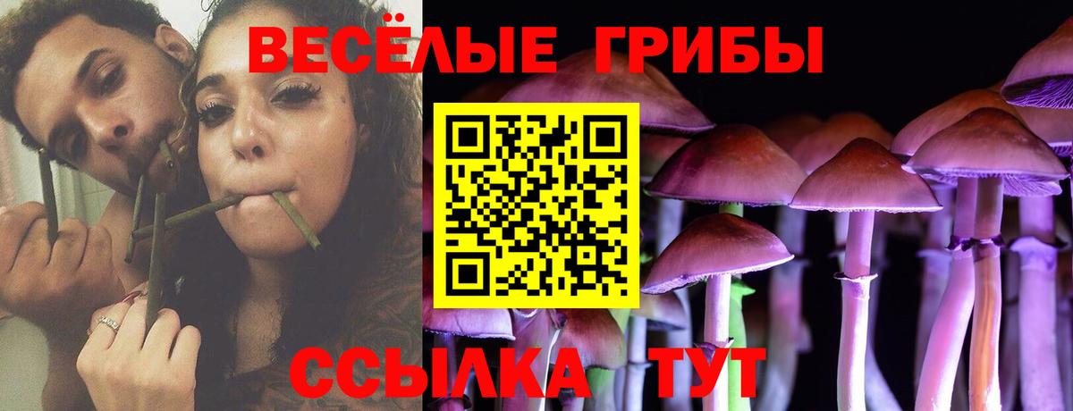 Псилоцибиновые грибы мухоморы Саратов